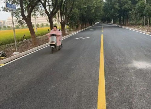 改造里程達(dá)46公里 2024年松江農(nóng)村公路提檔升級改造項(xiàng)目完工