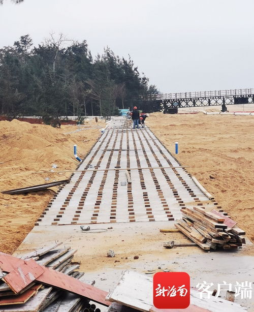 原創組圖 ?？谖骱０敦炌ǜ鹿こ套钚逻M展 國際會展中心附近沿海新建路完成瀝青路面鋪設